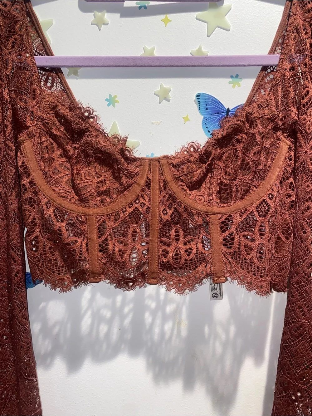 Anthropologie Rust Lace Corset Long Sleeve Crop Top XS Boho Romantic Cottagecore